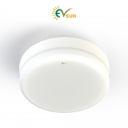 EV Sun Surface Mounted Down Light (Round)